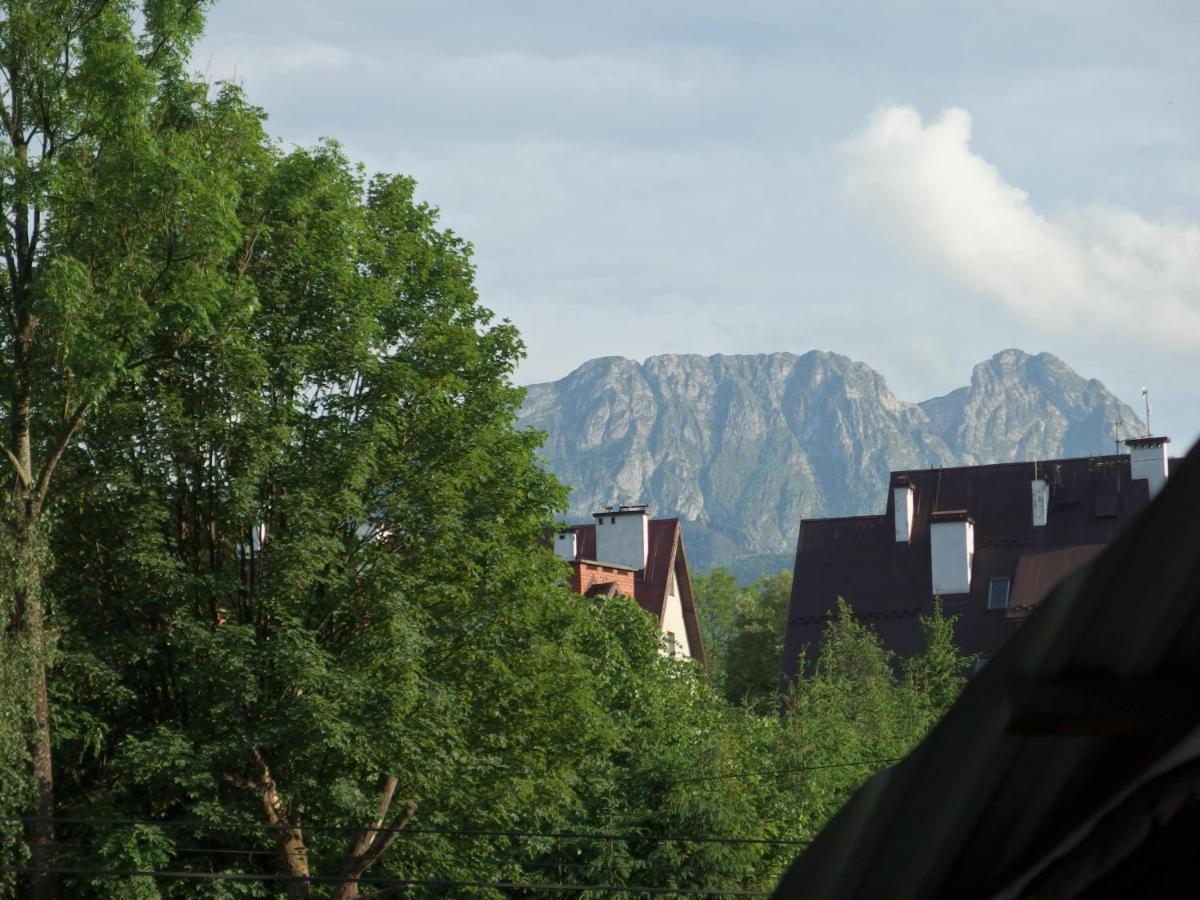 Misia Chata Zakopane Exterior foto